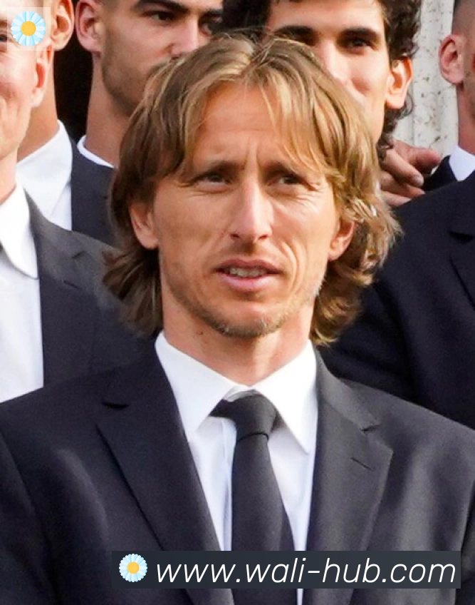 维尼修斯